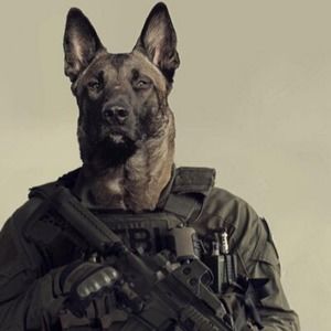 Meet your Posher, Derek